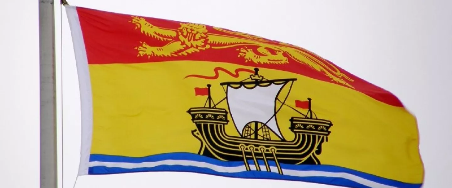 NBflag-81224.jpg