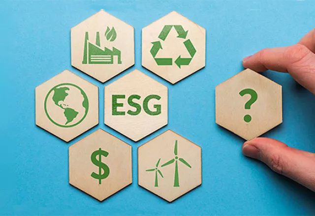 ESG: Myths and Realities - Collected Essays