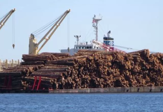 assembly-wharf-log-export.jpg